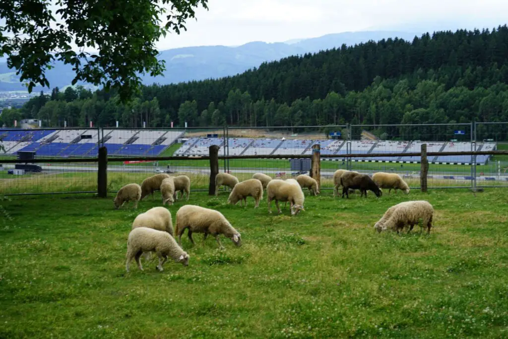 The Red Bull Ring in 2021